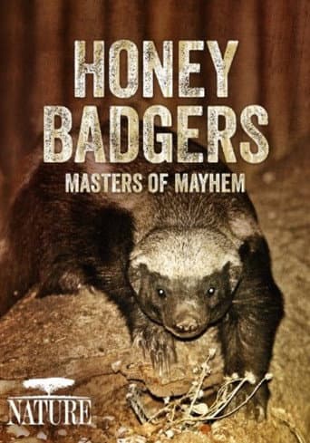 Watch Honey Badgers: Masters of Mayhem free online