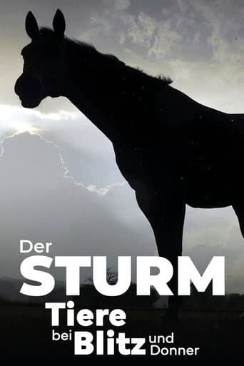 Watch Der Sturm - Tiere bei Blitz und Donner free online
