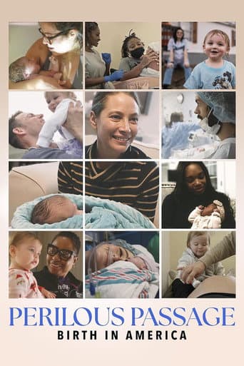 Watch Perilous Passage: Birth in America free online