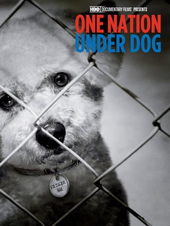 Watch One Nation Under Dog free online