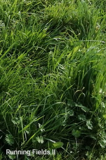Watch Running Fields II free online