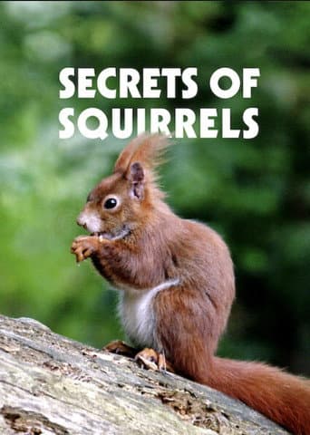 Watch Secrets of Squirrels free online