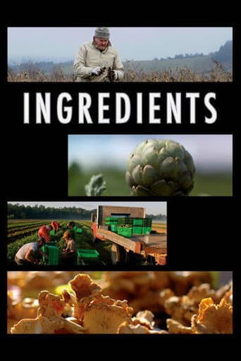 Watch Ingredients free online