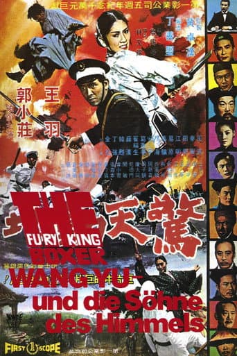 Watch Fury of King Boxer free online