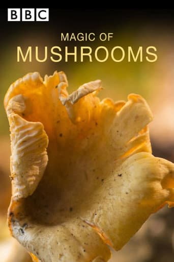 Watch The Magic of Mushrooms free online