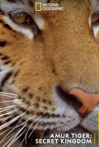 Watch Siberian Tiger, The Secret Kingdom free online