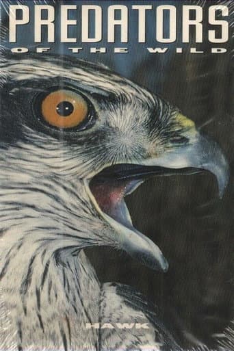Watch Predators of the Wild: Hawk free online