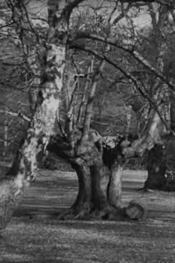 Watch Burnham Beeches free online