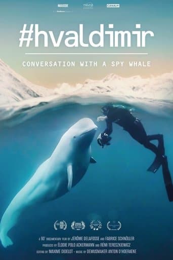 Watch #Hvaldimir, Conversation With a Spy Whale free online