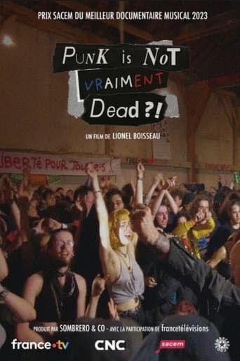 Watch Punk is not vraiment dead ?! free online