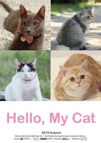 Watch Hello, My Cat free online