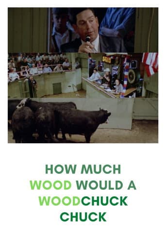 Watch How Much Wood Would a Woodchuck Chuck free online