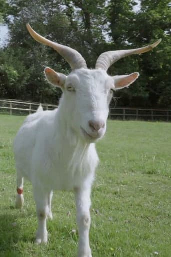 Watch Smart as a Goat free online