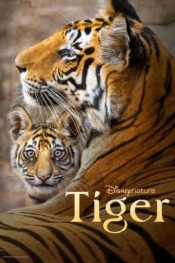 Watch Tiger free online