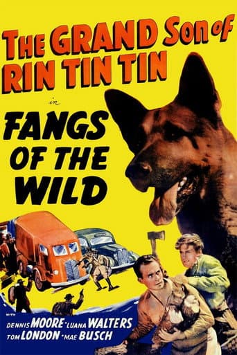 Watch Fangs of the Wild free online