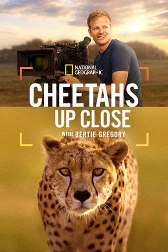 Watch Cheetahs Up Close with Bertie Gregory free online