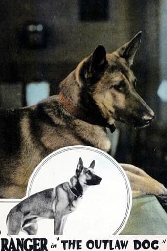 Watch The Outlaw Dog free online