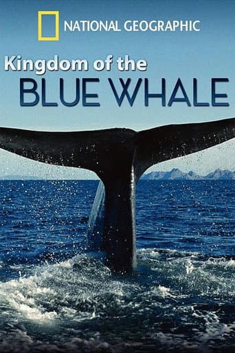 Watch Kingdom of the Blue Whale free online