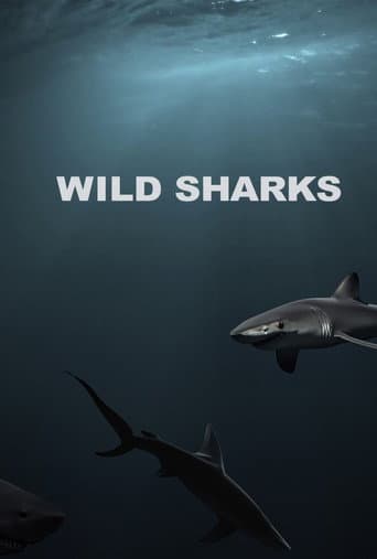Watch Wild Sharks free online