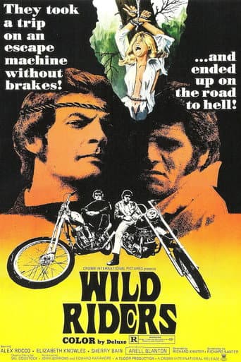 Watch Wild Riders free online