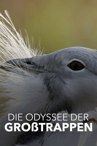 Watch Glorious Bustards free online