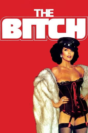 Watch The Bitch free online