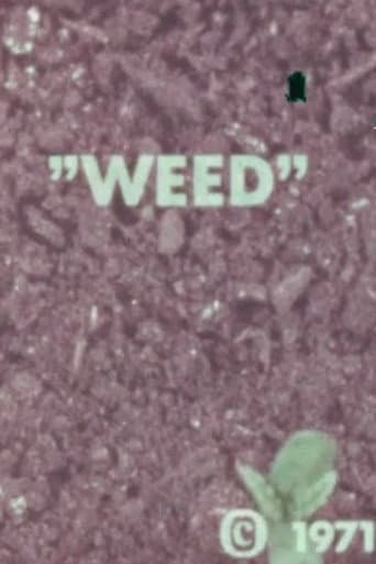 Watch WEED free online