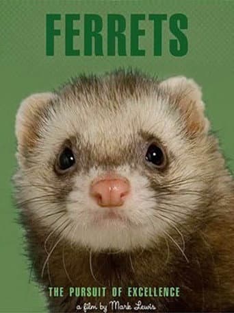 Watch Ferrets free online