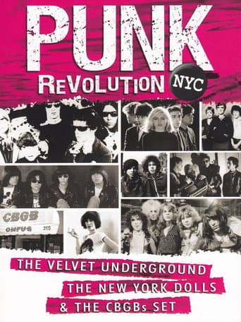 Watch Punk Revolution NYC free online