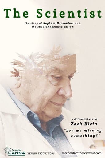 Watch The Scientist: Are We Missing Something? free online