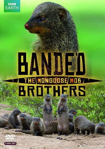 Watch Banded Brothers: The Mongoose Mob free online