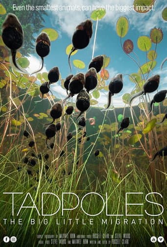 Watch Tadpoles: The Big Little Migration free online