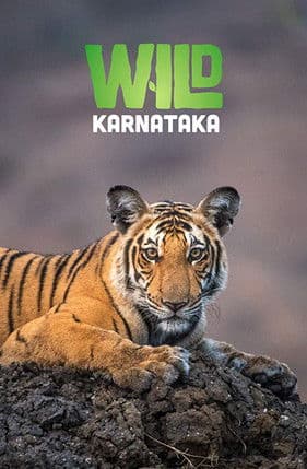 Watch Wild Karnataka free online