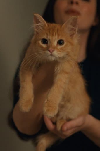 Watch Petunia free online