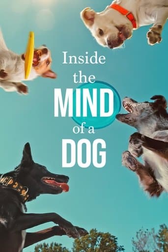 Watch Inside the Mind of a Dog free online