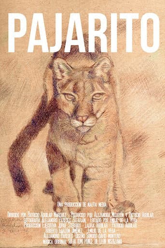 Watch Pajarito free online