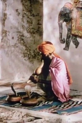 Watch A Road in India free online