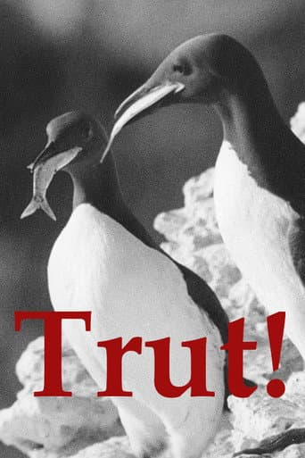 Watch The Gulls free online