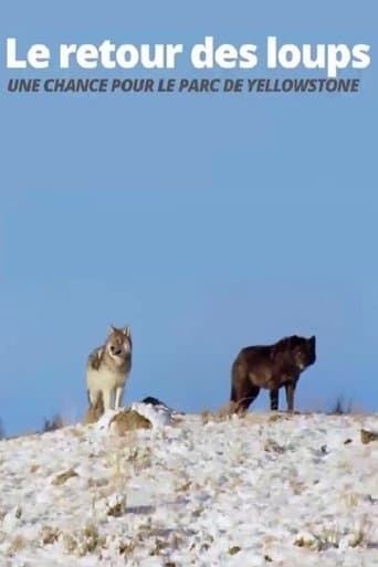 Watch The Return of the Wolves: The Miracle in Yellowstone National Park free online