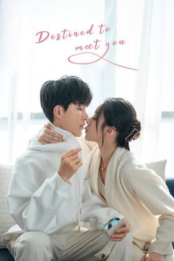 Watch Destined to Meet You free online