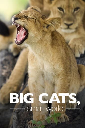 Watch Big Cats, Small World free online