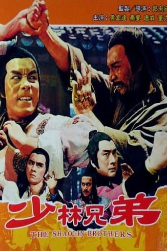 Watch The Shaolin Brothers free online