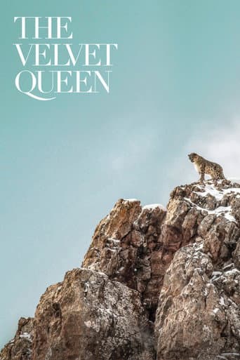 Watch The Velvet Queen free online