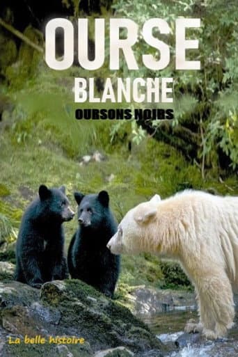 Watch Ourse blanche, oursons noirs : la belle histoire free online