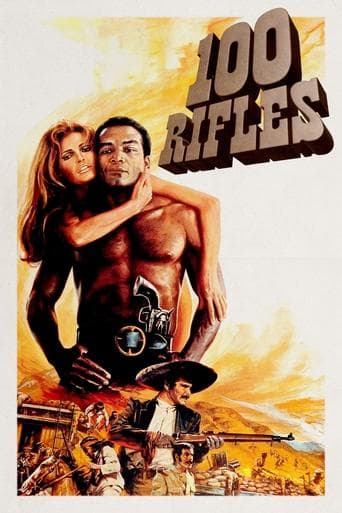 Watch 100 Rifles free online