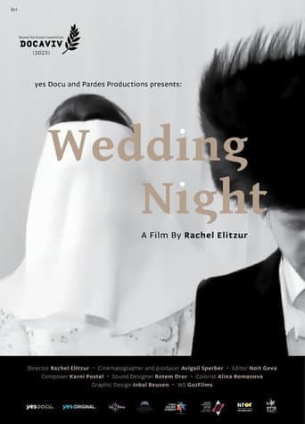 Watch Wedding Night free online