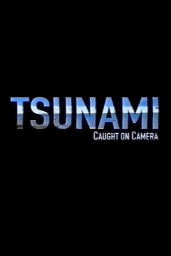 Watch Tsunami: Caught on Camera free online