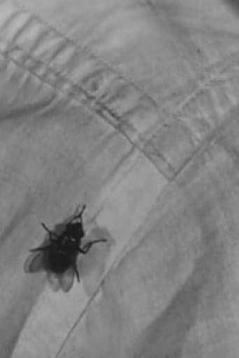 Watch A Town Without Flies free online