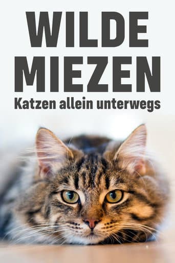 Watch Wilde Miezen - Katzen allein unterwegs free online