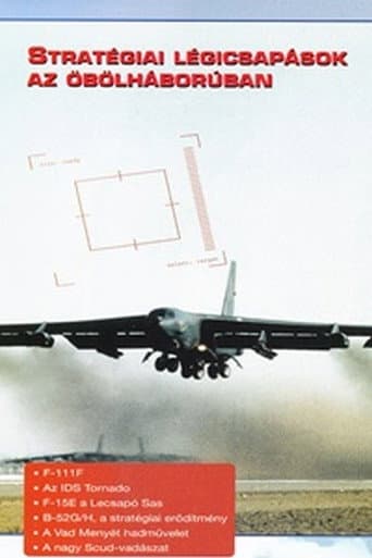 Watch Combat in the Air - Strategic Air Power in the Gulf free online